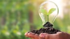 Economia Verde: entenda o conceito e seus benefícios