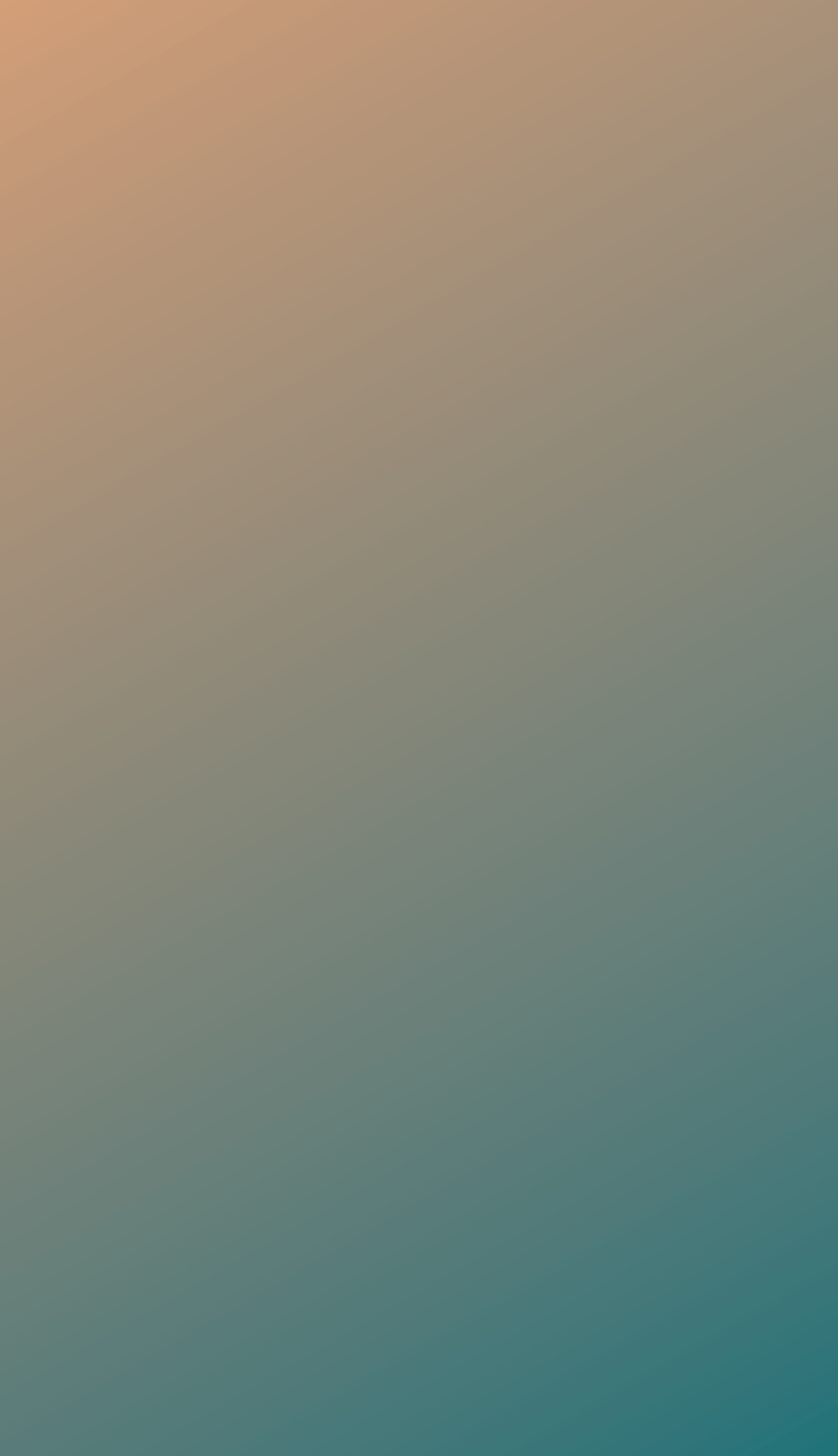 item_2732