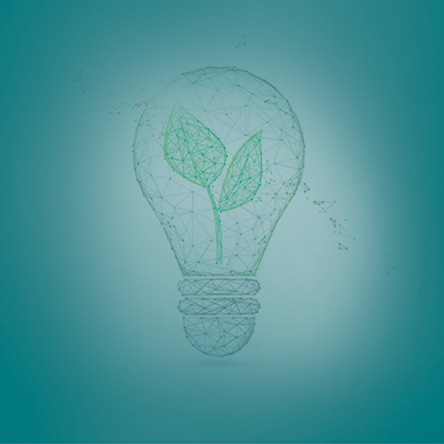 Sustentabilidade: meio ambiente, organizações e negócios sustentáveis