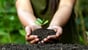 empreendedorismo, empreendedorismo sustentável, meio ambiente, sustentabilidade