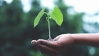 5 formas de tornar o seu negócio mais sustentável